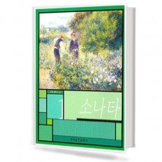 현대 클래식 소나타 1