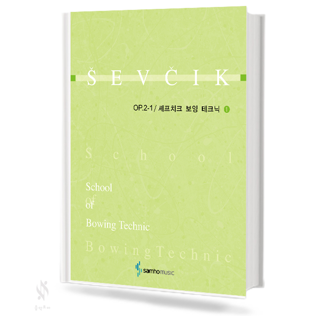 셰프치크 보잉 테크닉 1