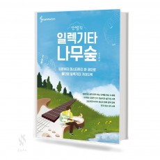 안쌤의 일렉기타 나무숲